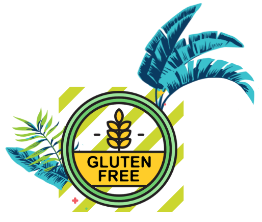 Vegan and free of gluten, fat, lactose and dairy